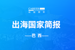 kdpay钱包GO GLOBAL | 巴西国家简报